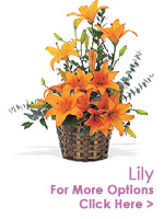Flowers to India : Lily to India