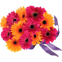 Karva Chauth Gifts to India : Gerbera Bouquet