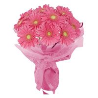 Send Flowers to India : Gerbera
