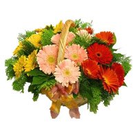 Karwa Chauth Gifts to India : Gerbera Flowers to India