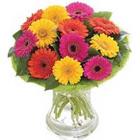 Send Karwa Chauth Gifts to India : Gerbera Flowers to India