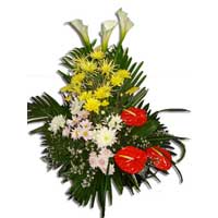 Flowers to India : Durga Puja Flowers to India