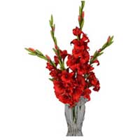 Flowers to India : Send Flowers to India