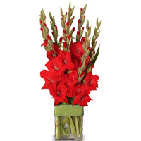 Send Flowers to India : Flowers to India