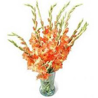 Flowers to India : Send Flowers to India