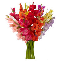 Flowers to India : Send Flowers to India