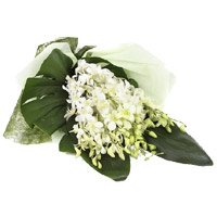 Flowers to India