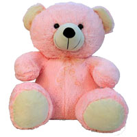Send Gifts to India : Gifts to India : Teddy Bears to India