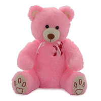 Gifts to India : Send Gifts to India : Teddy Bears to India