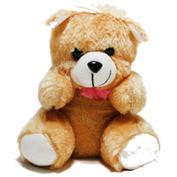 Send Gifts to India : Gifts to India : Teddy Bears to India