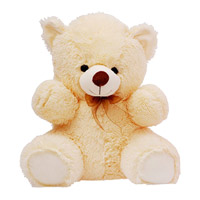 Send Gifts to India : Gifts to India