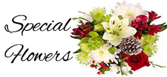 Flowers to Thiruvalla